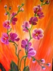 /gallery/orchidea.jpg